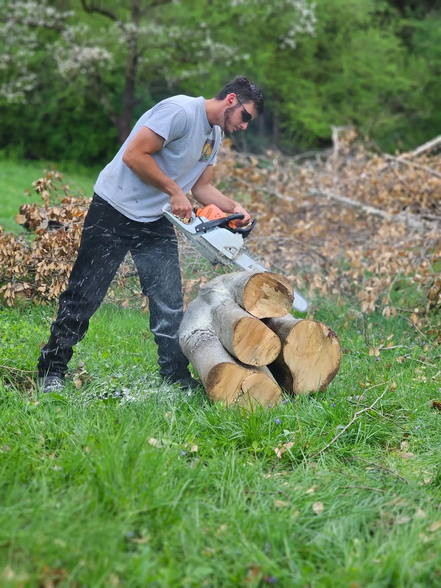 Crew member cutting logs with chainsaw during tree removal